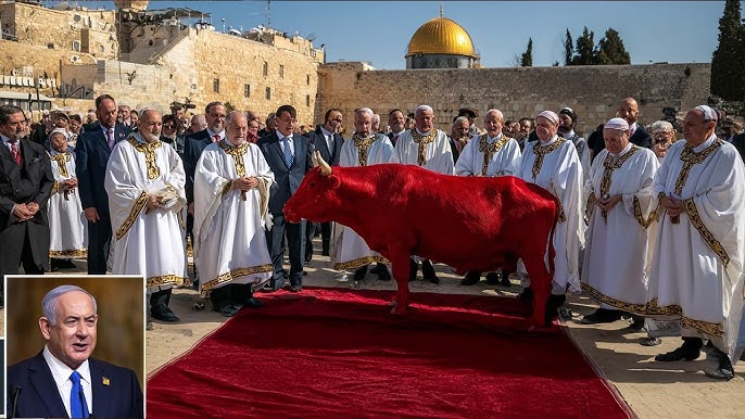 Israeli Flag